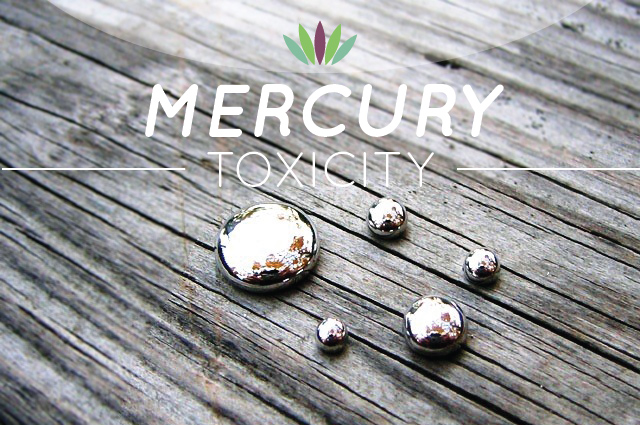 Image results for Mercury Toxicity